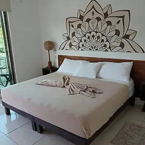 https://villa-solera.allrivieramayahotels.com